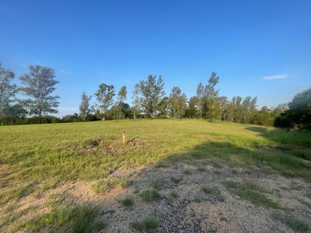 Land for sale in Knopjeslaagte, Gauteng