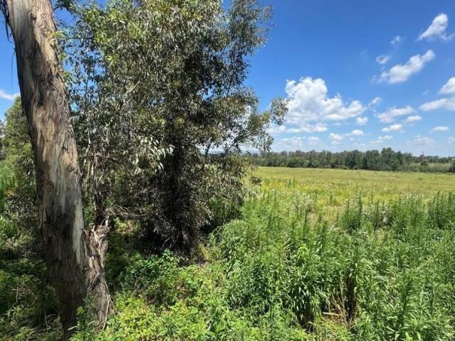 Land for sale in Midvaal, Gauteng