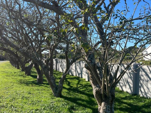 Land for sale in Bushmans River Mouth, Eastern Cape