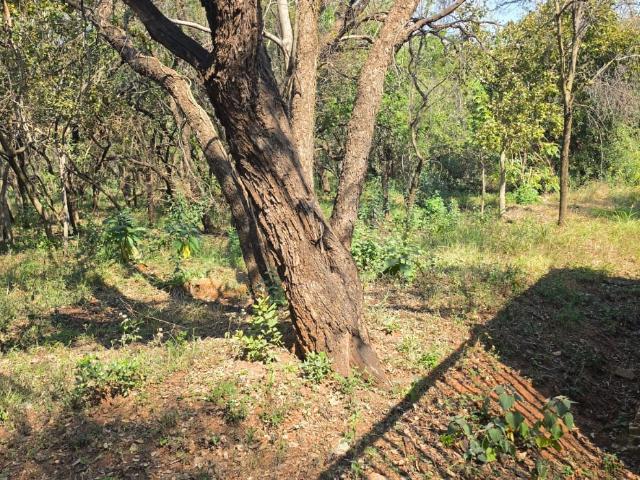 Land for sale in Tlhabane, North West