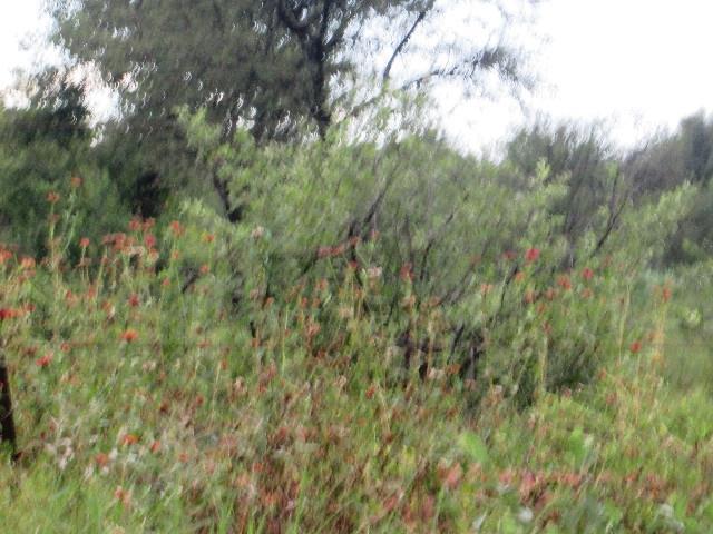 Land for sale in Hartbeespoort Dam Nature Reserve, North West
