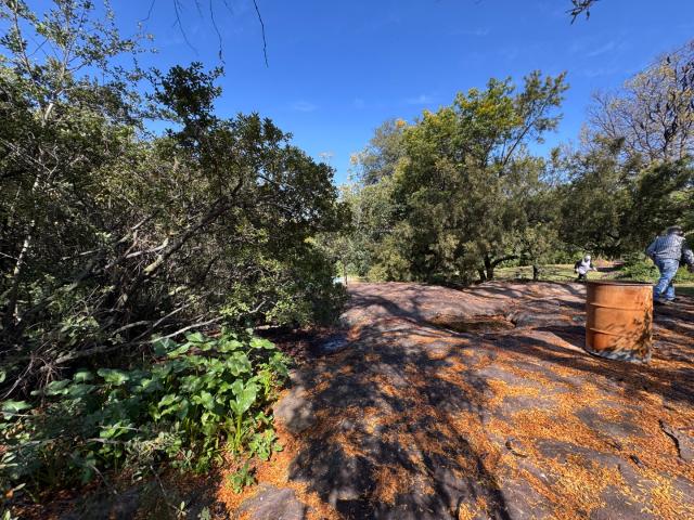Land for sale in Randburg, Gauteng