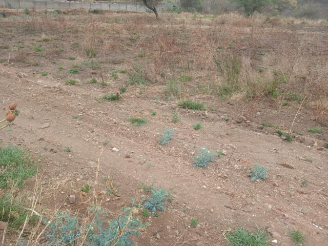 Land for sale in Greater Tubatse Municipality, Limpopo