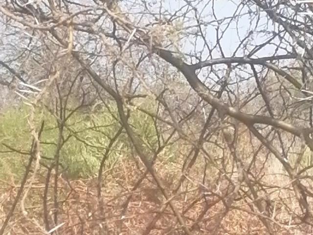 Land for sale in Greater Tubatse Municipality, Limpopo