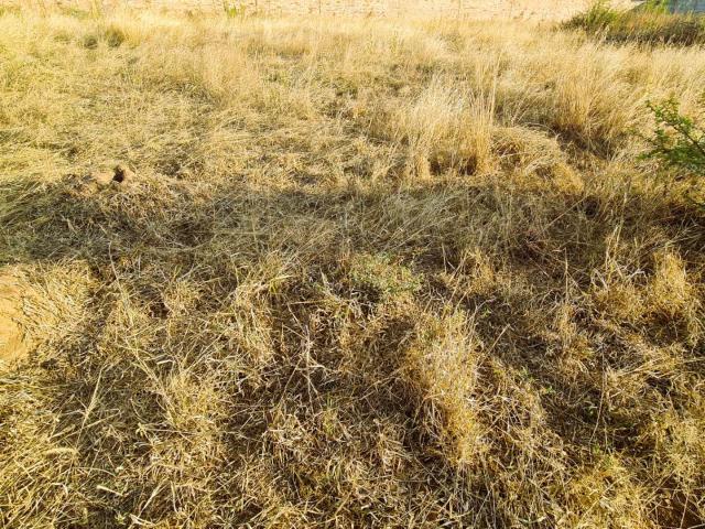 Land for sale in Seshego, Limpopo
