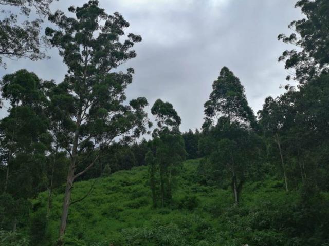 Land for sale in Umgungundlovu, Kwazulu-natal
