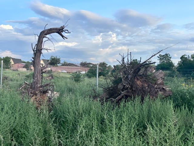 Land for sale in Dr Ruth Segomotsi Mompati District Municipality, North West