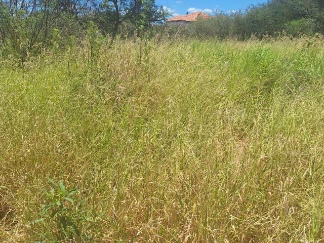 Land for sale in Potgietersrus, Limpopo