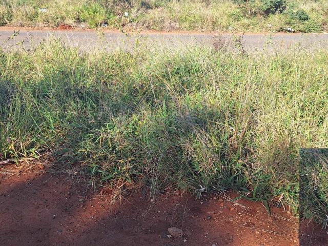 Land for sale in Potgietersrus, Limpopo