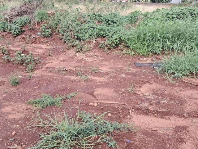 Land for sale in Potgietersrus, Limpopo