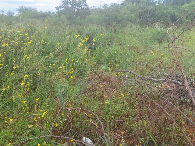 Land for sale in Potgietersrus, Limpopo