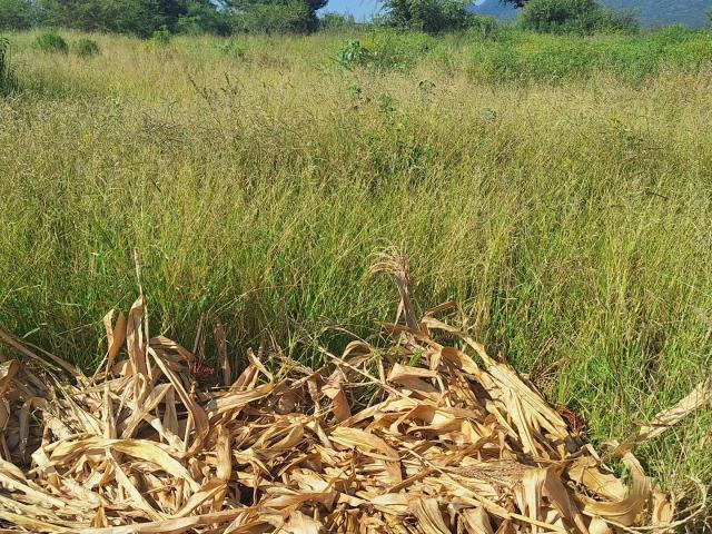 Land for sale in Potgietersrus, Limpopo