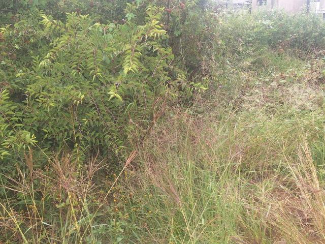 Land for sale in Potgietersrus, Limpopo