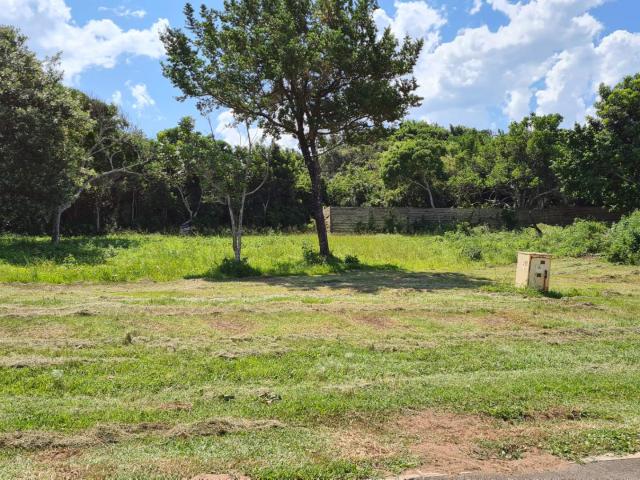 Land for sale in Amathole District Municipality, Eastern Cape