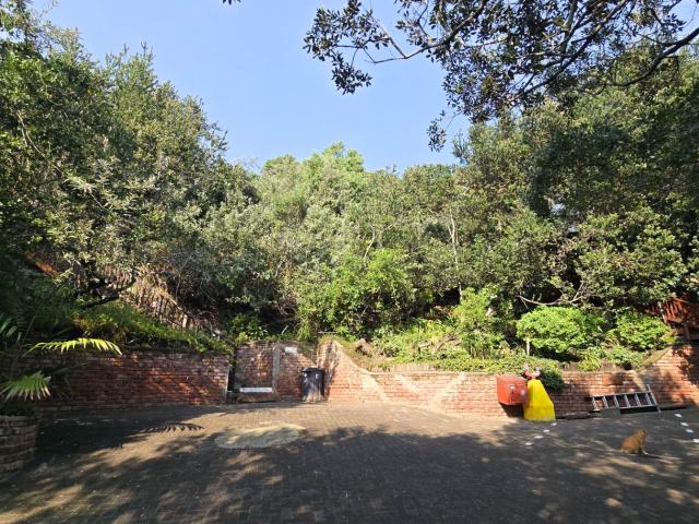 Land for sale in Amathole District Municipality, Eastern Cape