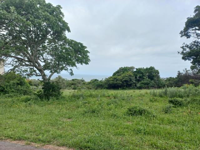 Land for sale in Amathole District Municipality, Eastern Cape