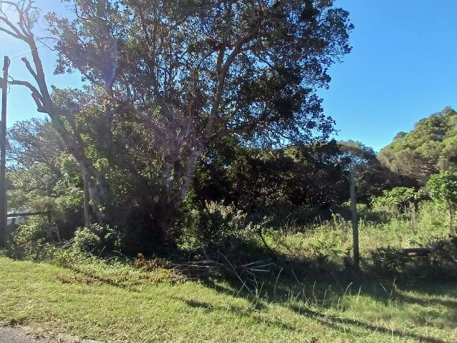 Land for sale in Amathole District Municipality, Eastern Cape