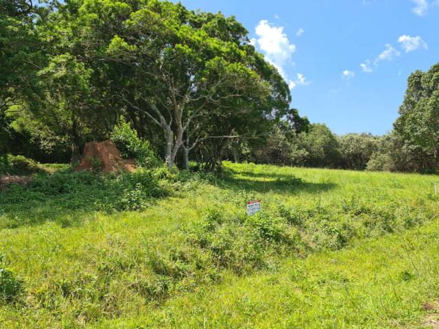 Land for sale in Amathole District Municipality, Eastern Cape