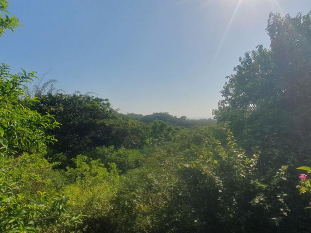 Land for sale in Craigieburn, Kwazulu-natal
