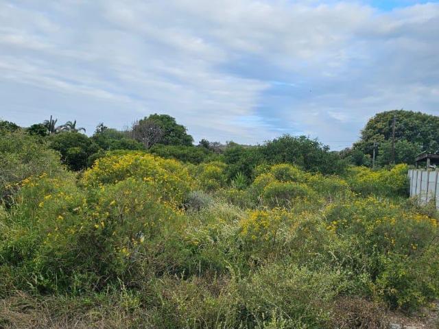 Land for sale in Colchester, Eastern Cape