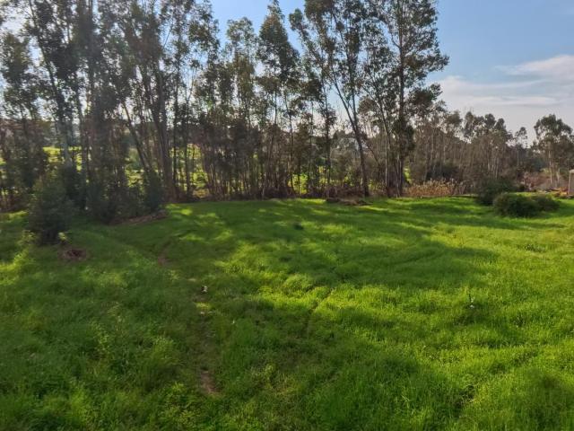 Land for sale in West Coast, Riebeeck Valley