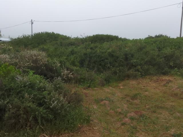 Land for sale in West Coast, Riebeeck Valley
