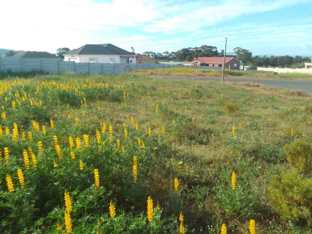Land for sale in West Coast, Riebeeck Valley