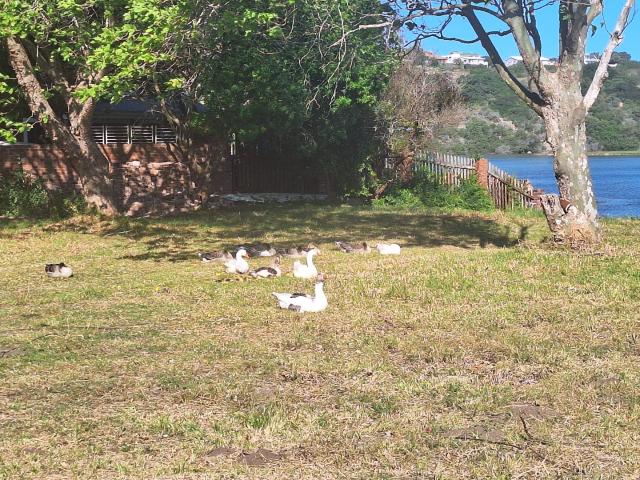 Land for sale in Groot Brak Rivier, Western Cape