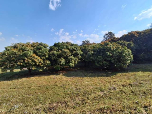 Land for sale in Mopani, Limpopo