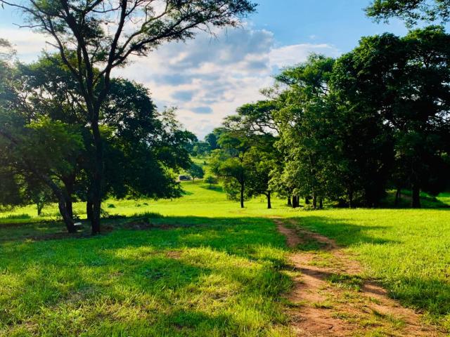 Land for sale in Mopani, Limpopo