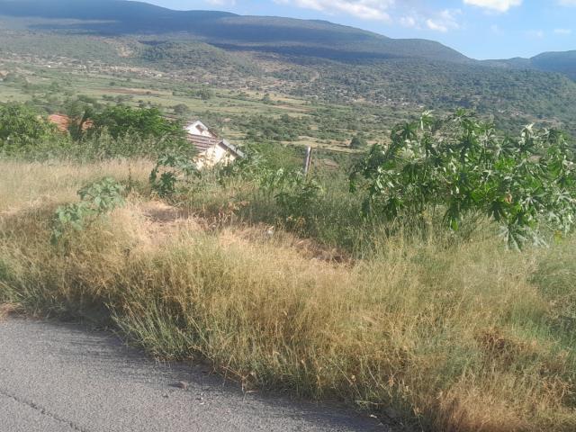 Land for sale in Vhembe, Limpopo