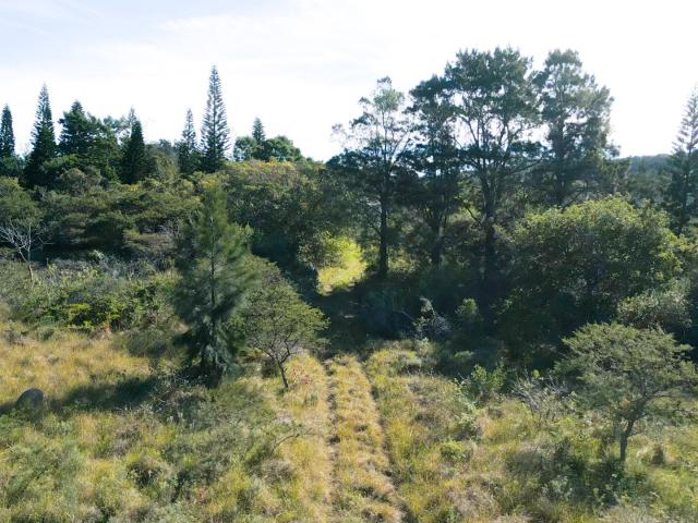 Land for sale in Amathole District Municipality, Eastern Cape