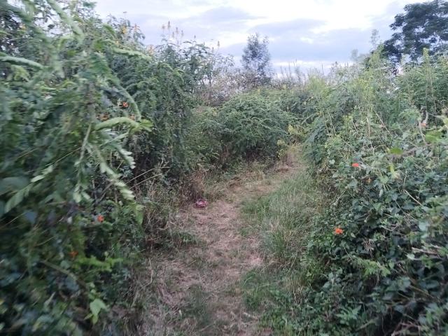 Land for sale in Umgungundlovu, Kwazulu-natal