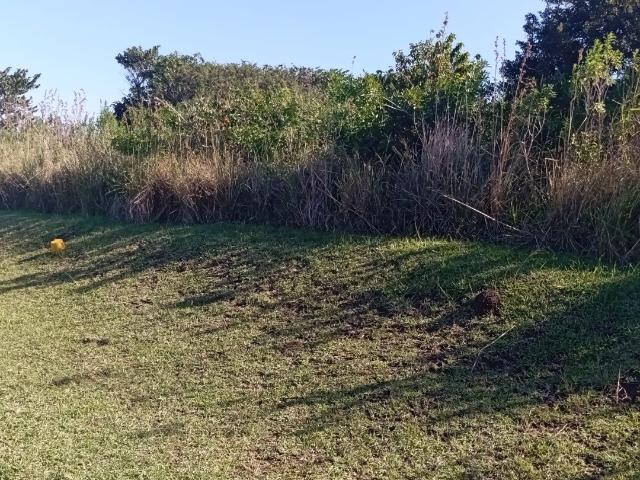 Land for sale in Ugu District Municipality, Kwazulu-natal