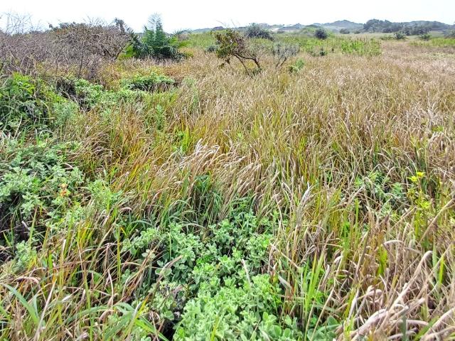 Land for sale in Ugu District Municipality, Kwazulu-natal