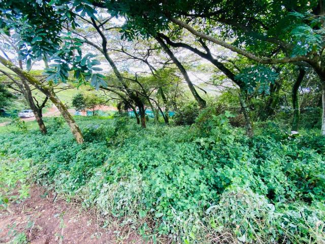 Land for sale in Princess Grant, Kwazulu-natal