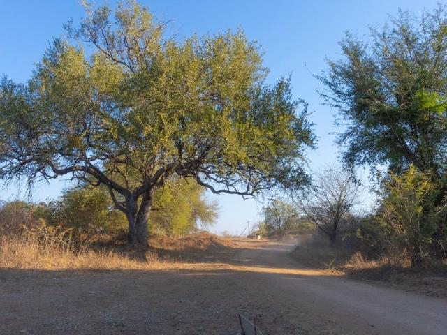 Land for sale in Mopani, Limpopo