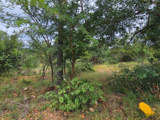 Land for sale in Mopani, Limpopo