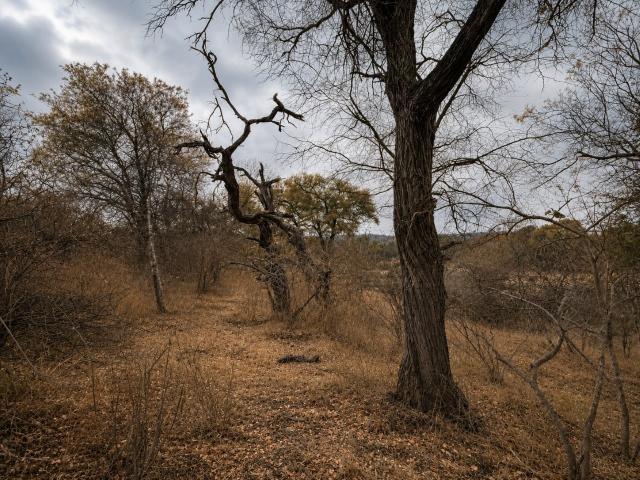 Land for sale in Mopani, Limpopo