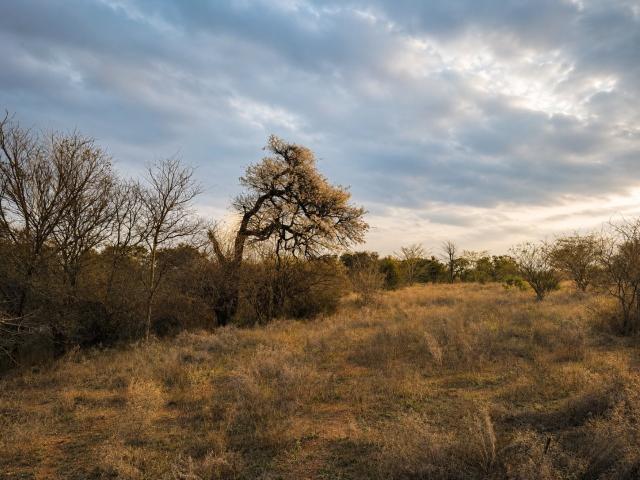 Land for sale in Mopani, Limpopo