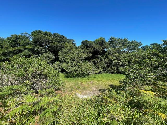 Land for sale in Eshowe, Kwazulu-natal