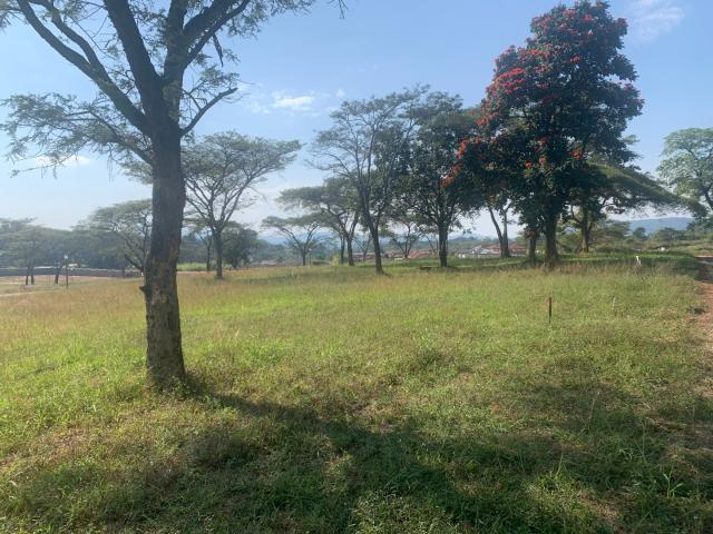Land for sale in Mopani, Limpopo