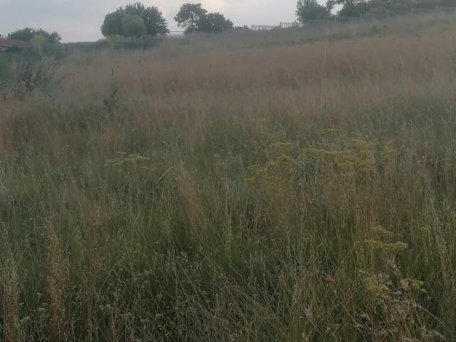 Land for sale in Rosendal, Free State