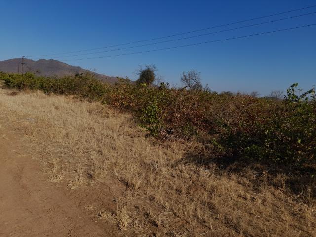 Land for sale in Mopani, Limpopo