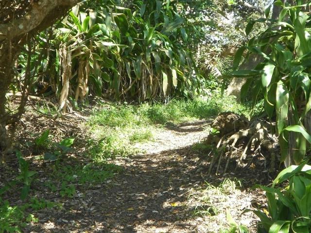 Land for sale in Ugu District Municipality, Kwazulu-natal