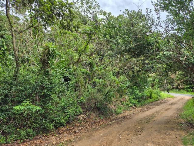 Land for sale in Ugu District Municipality, Kwazulu-natal
