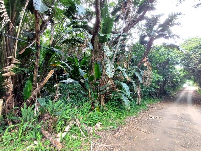 Land for sale in Ugu District Municipality, Kwazulu-natal
