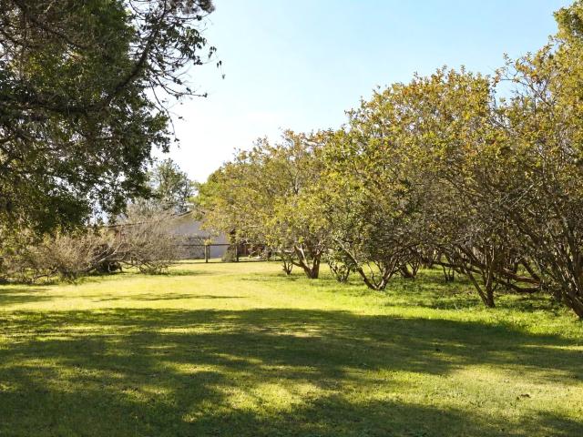 Land for sale in Groot Brak Rivier, Western Cape