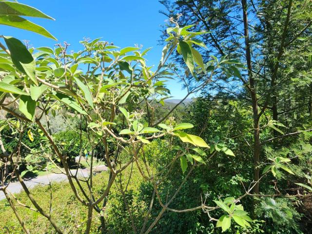Land for sale in Groot Brak Rivier, Western Cape