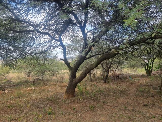 Land for sale in Gert Sibande, Mpumalanga